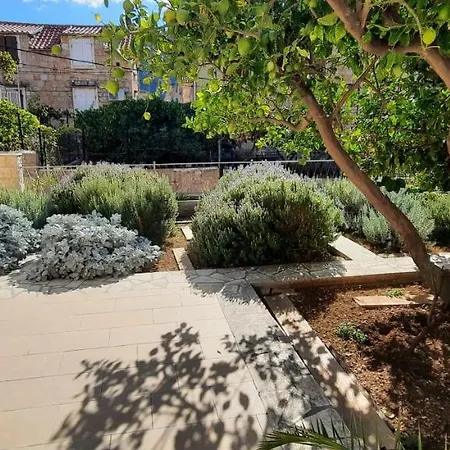 Beba Apartament *